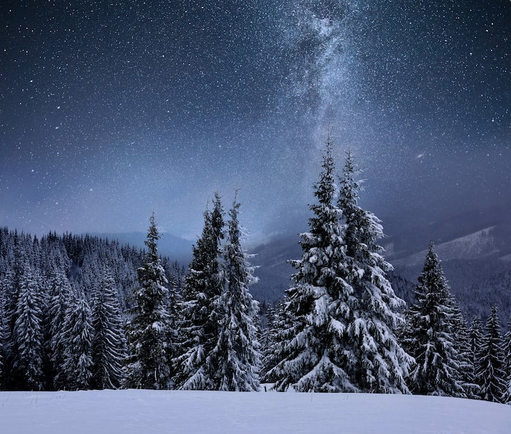 Snapbar Winter Nights