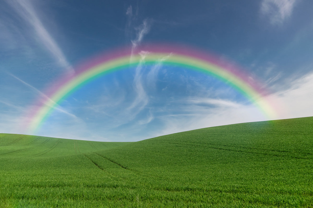 Snapbar Rainbow