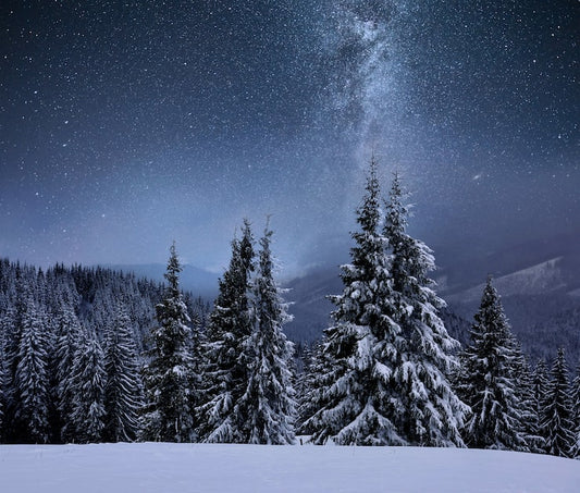 Snapbar Winter Nights