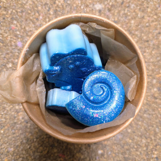 Scoopies Oceans