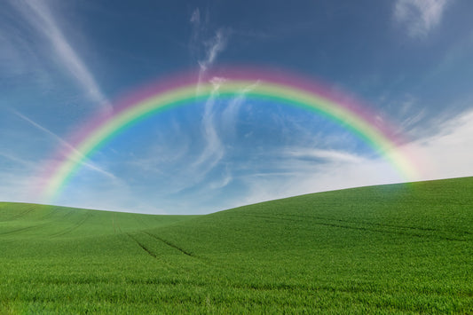 Snapbar Rainbow