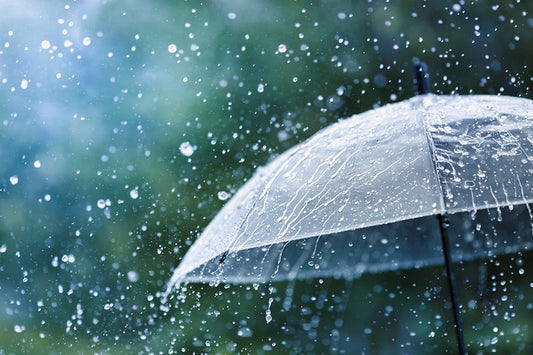 Snapbar After the rain