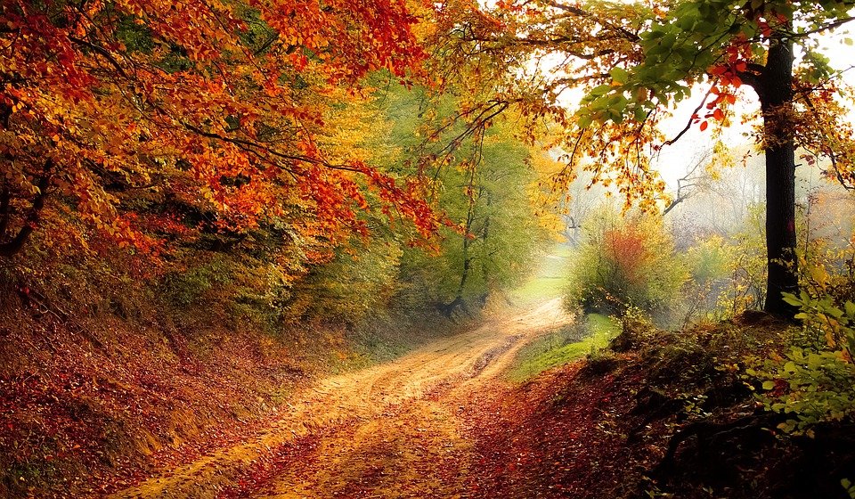 Snapbar Herfst Equinox