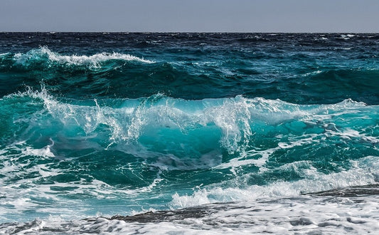 Snapbar Oceans